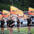 marching band homecoming game (214)